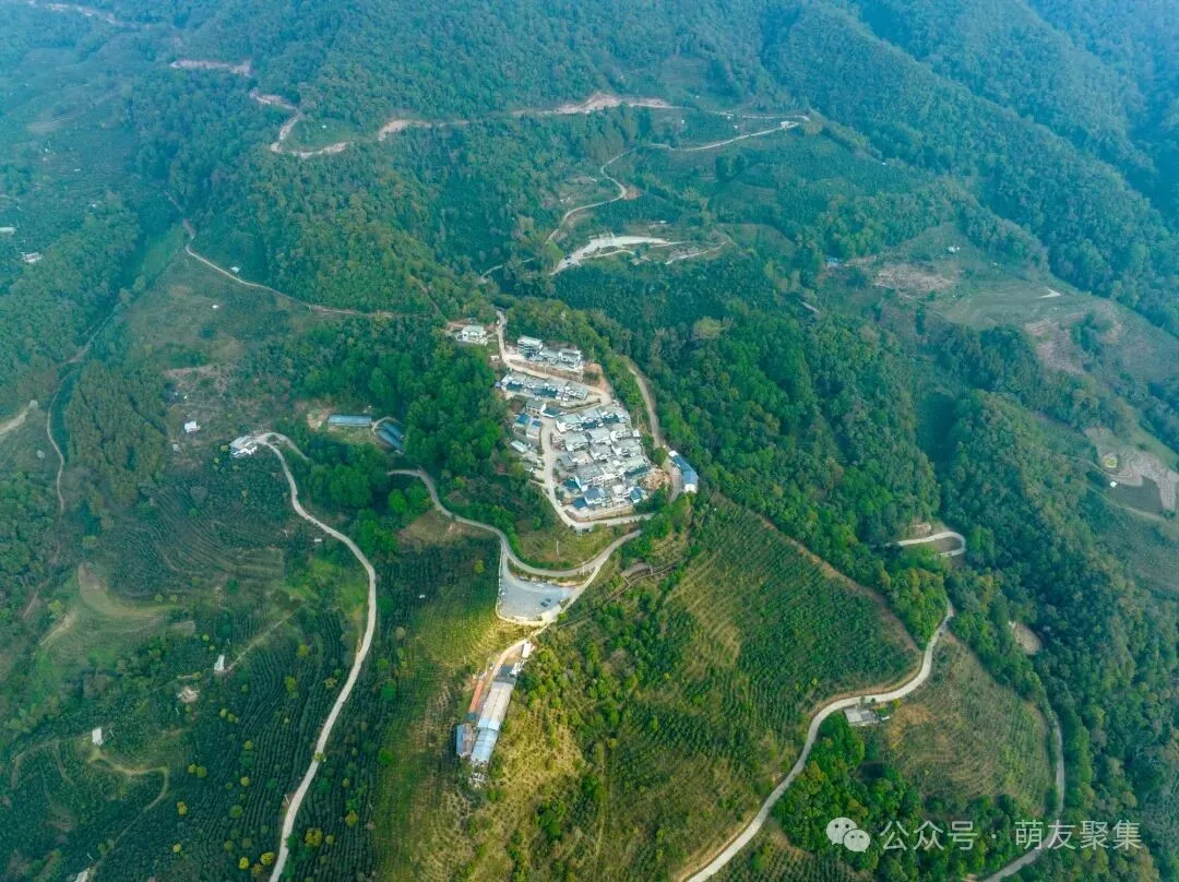 盘山公路，弯弯绕绕