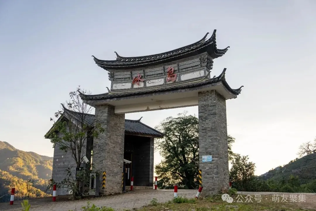 冰岛村口