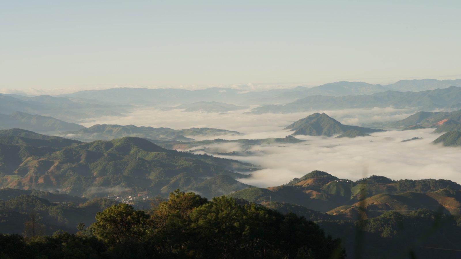 坝糯茶山实拍