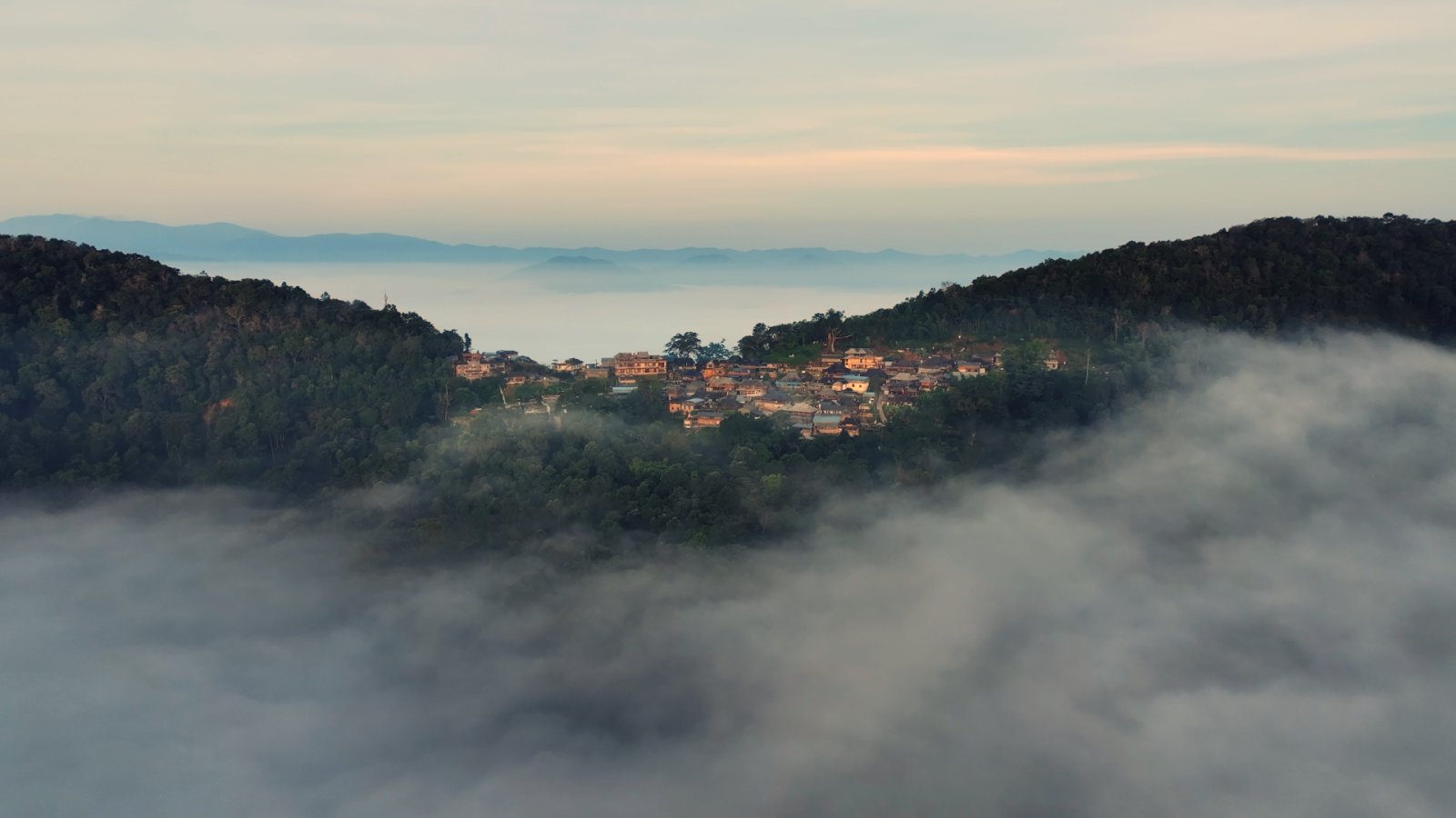 大平掌茶山实拍