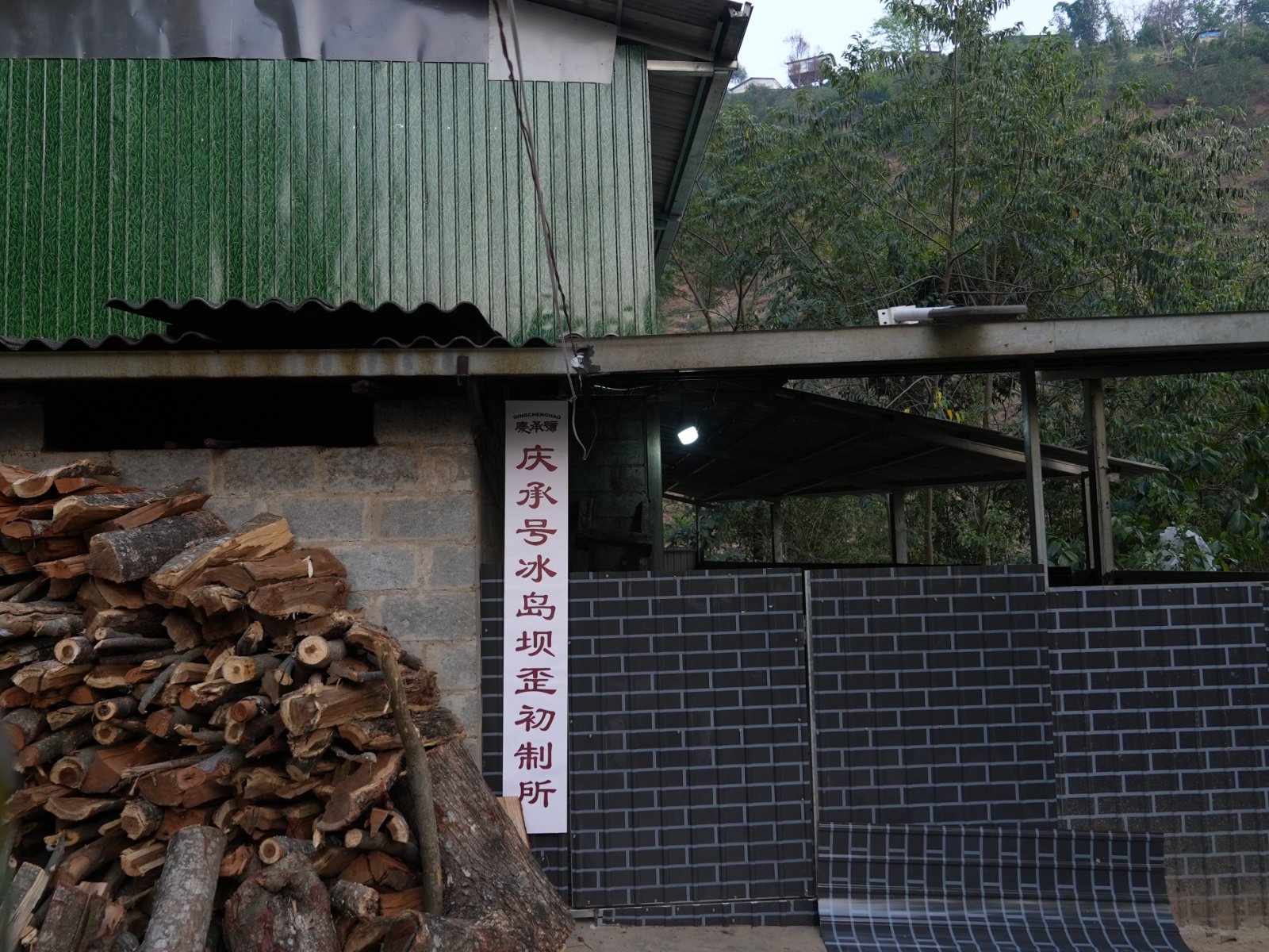 冰岛坝歪茶山实拍