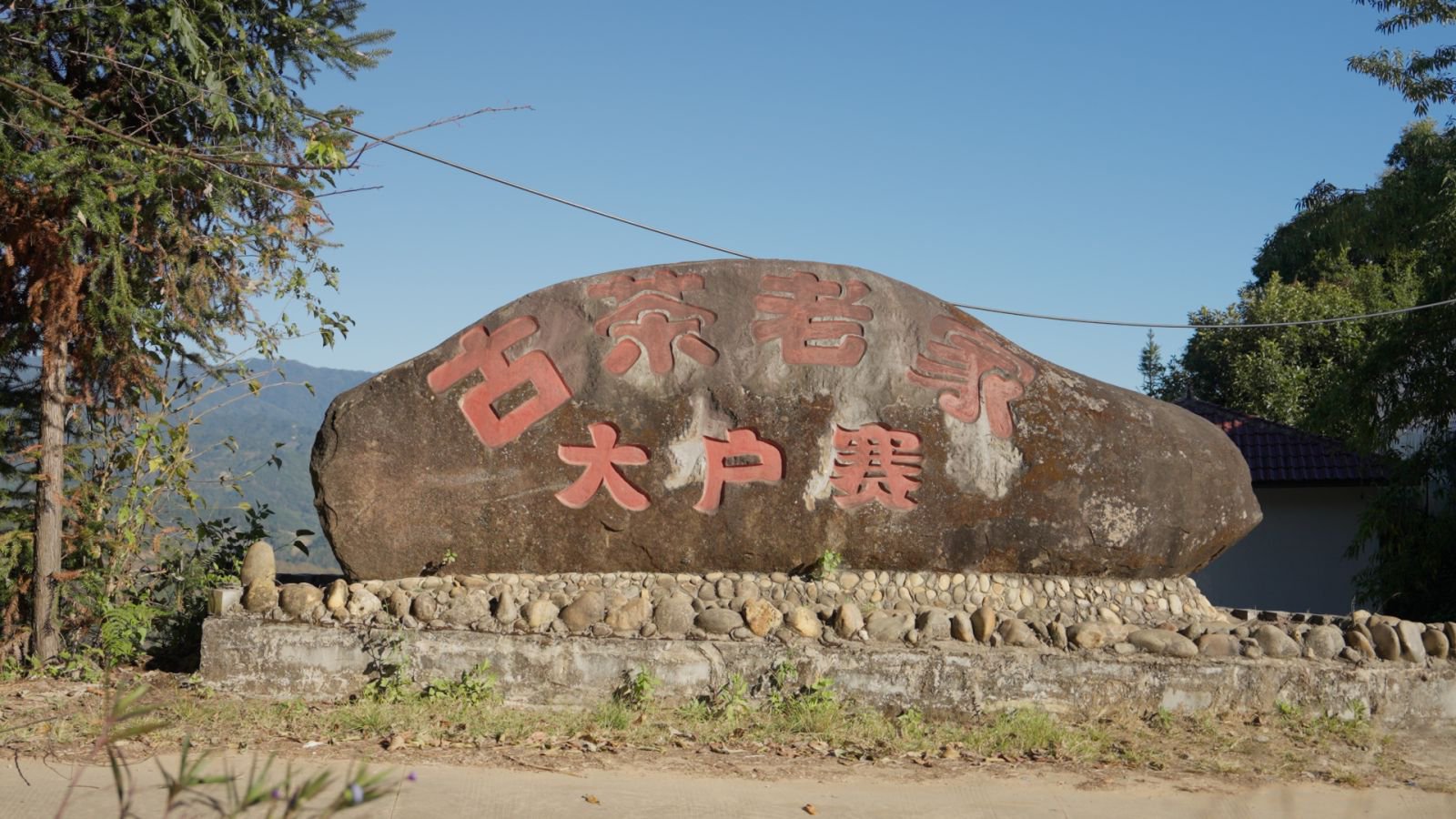 大户赛茶山实拍