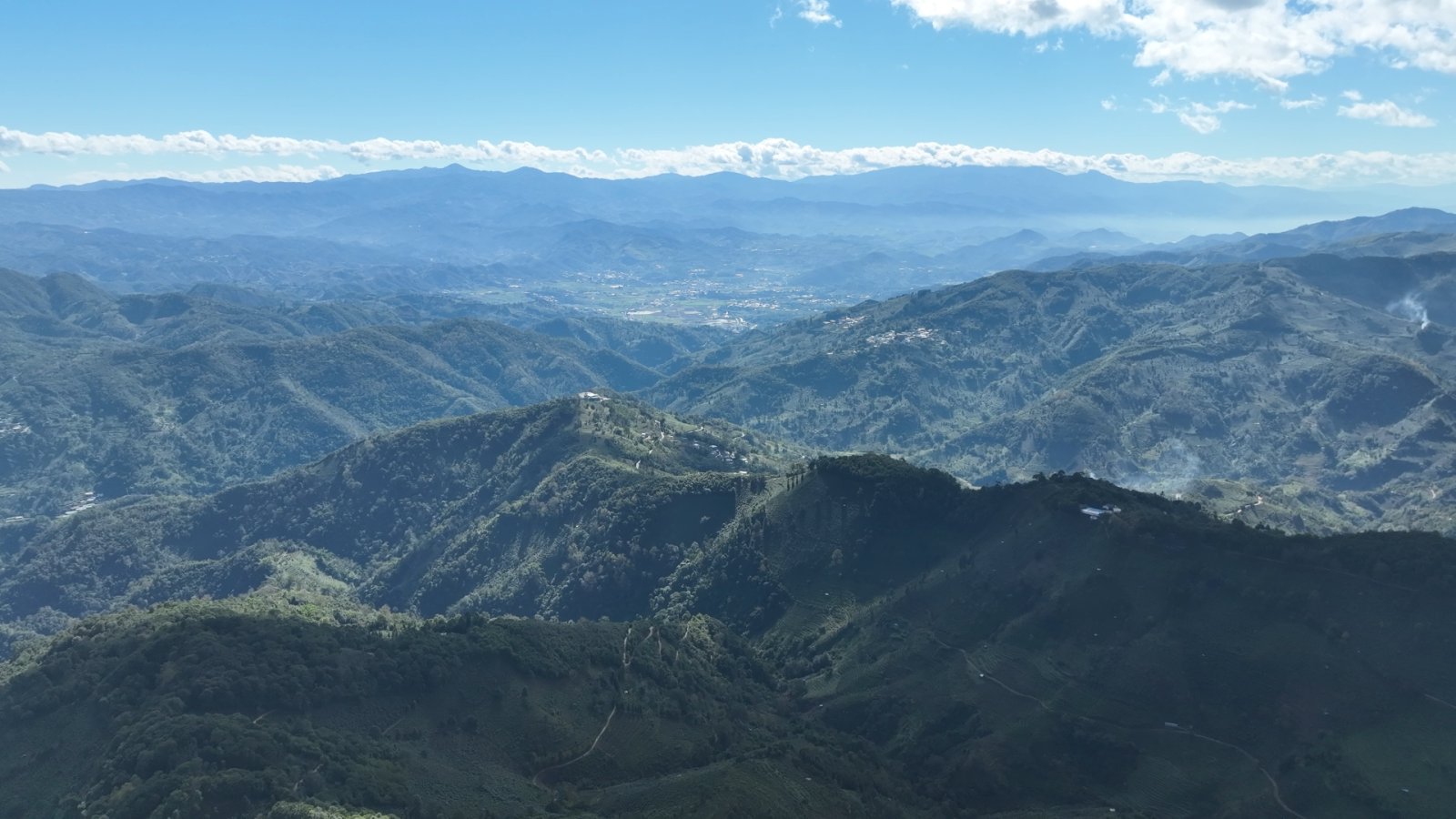 大户赛茶山实拍