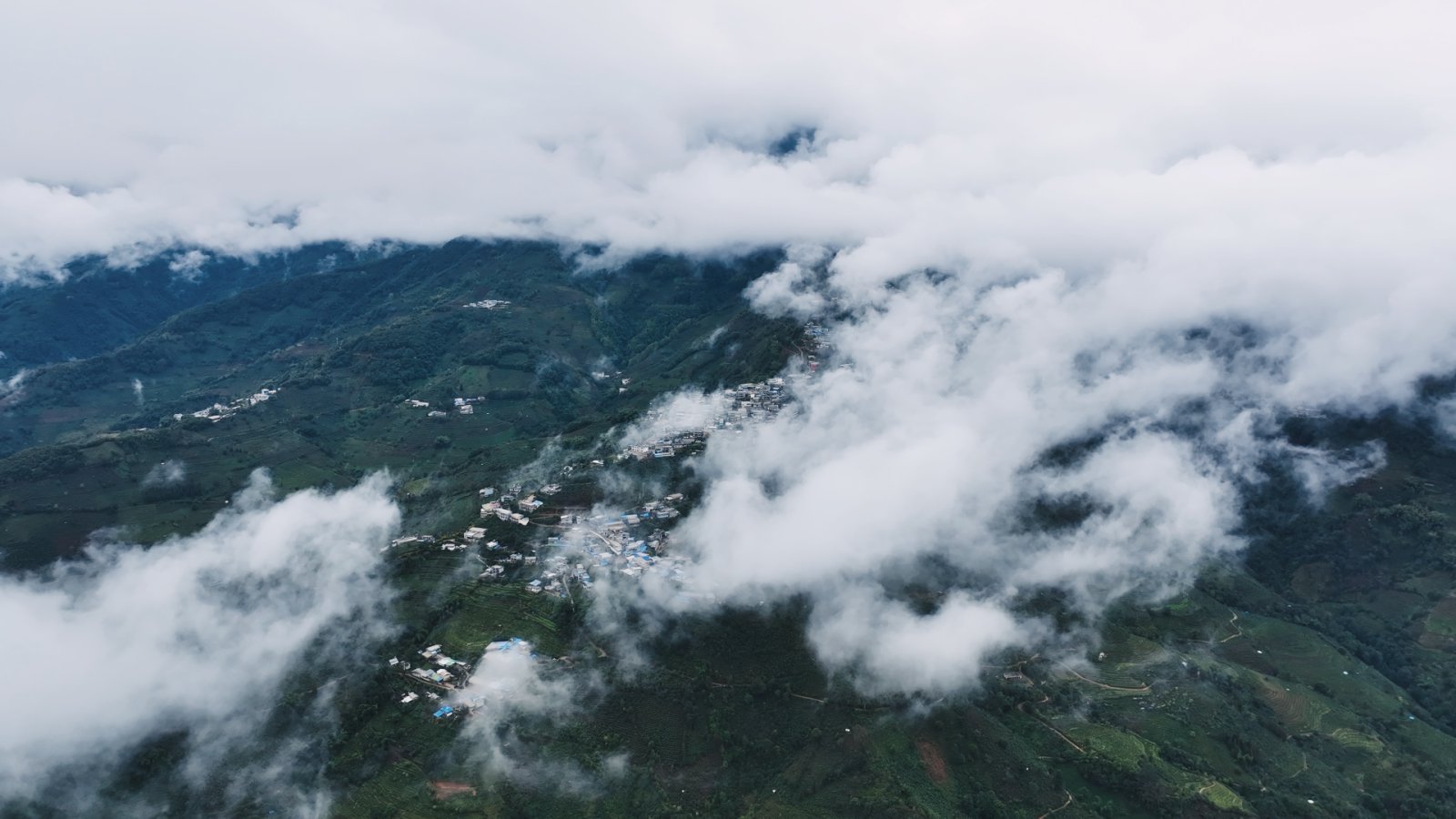 大户赛茶山实拍