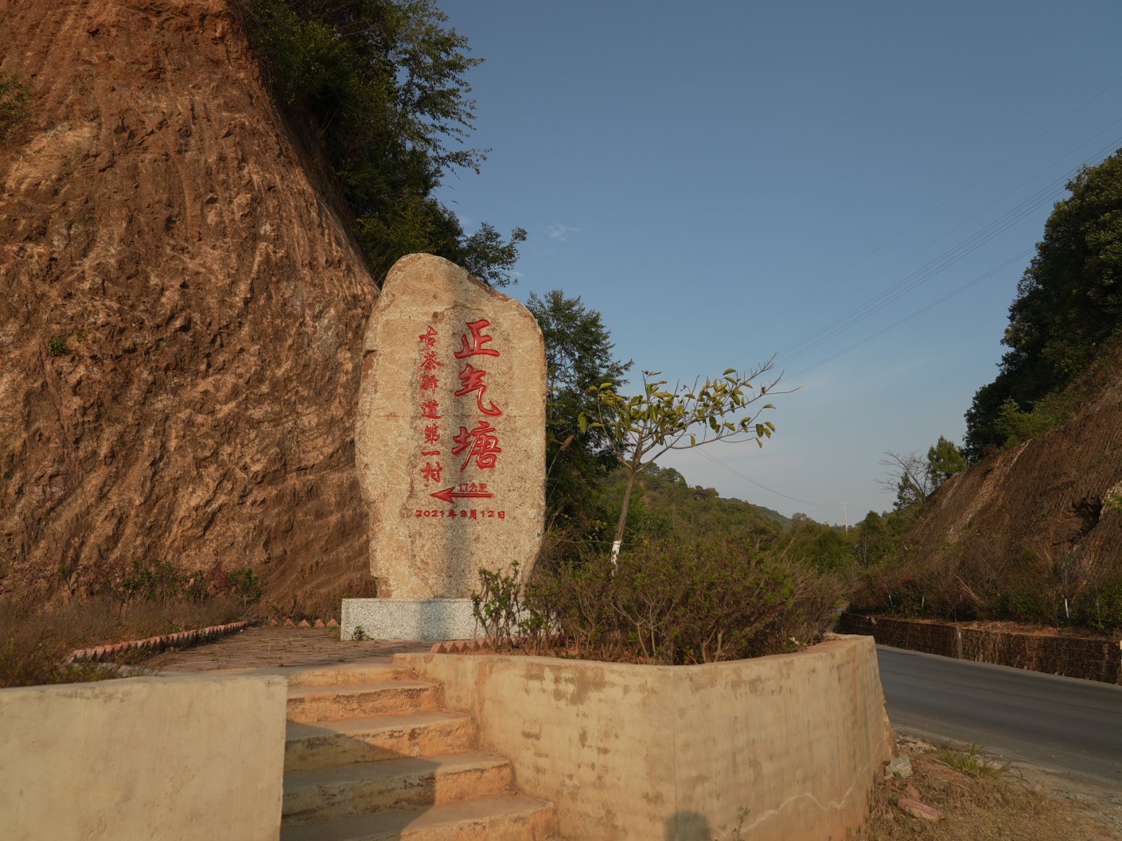 正气塘茶山实拍