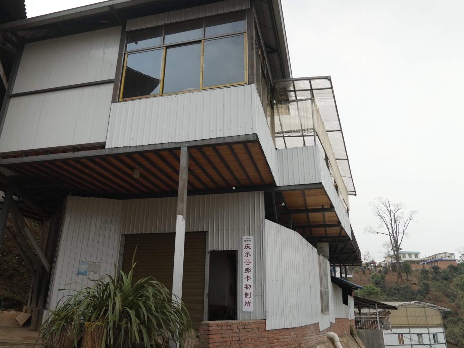 那卡茶山实拍