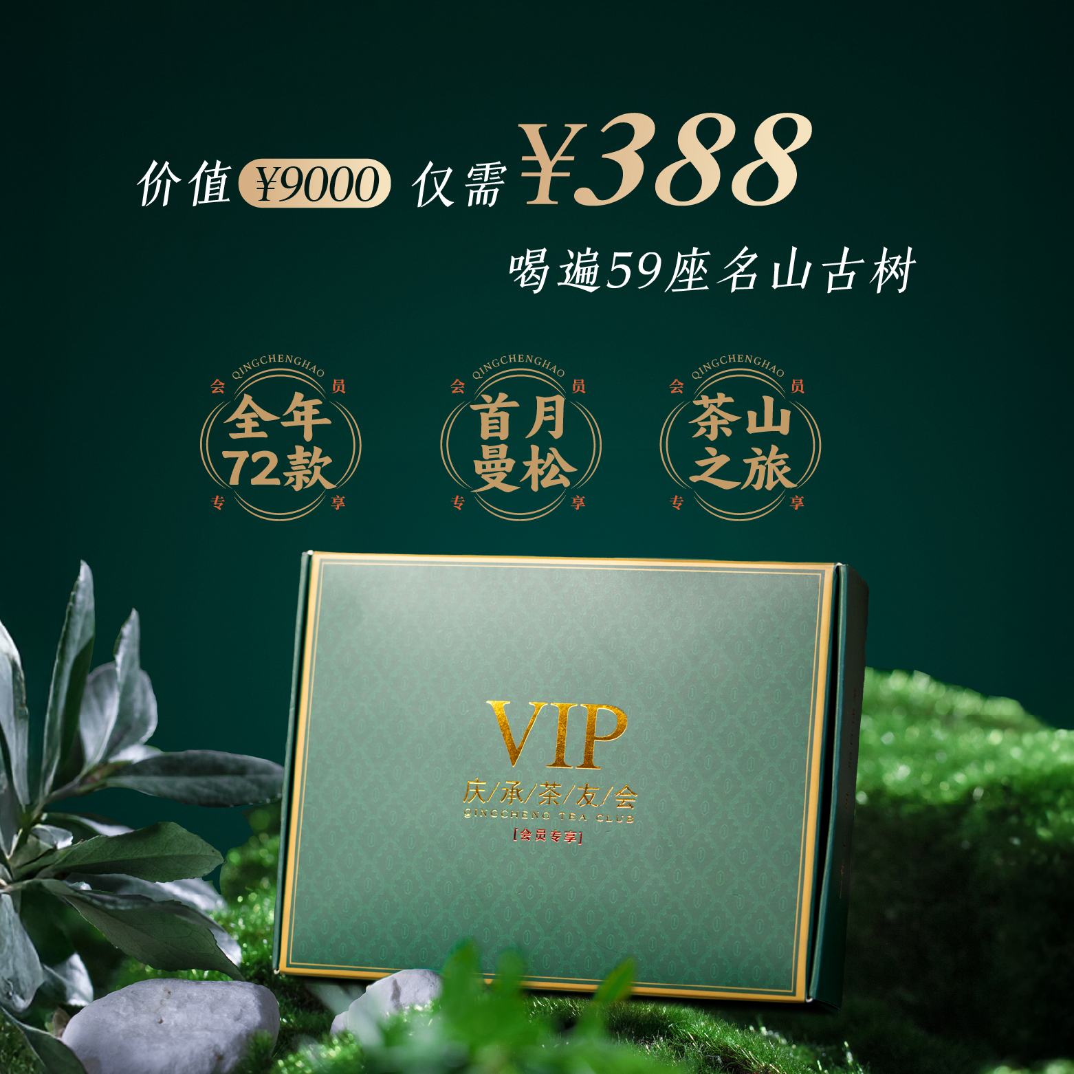 VIP庆承茶友会每月发6款不同古树茶年费12个月全年72泡享专属福利