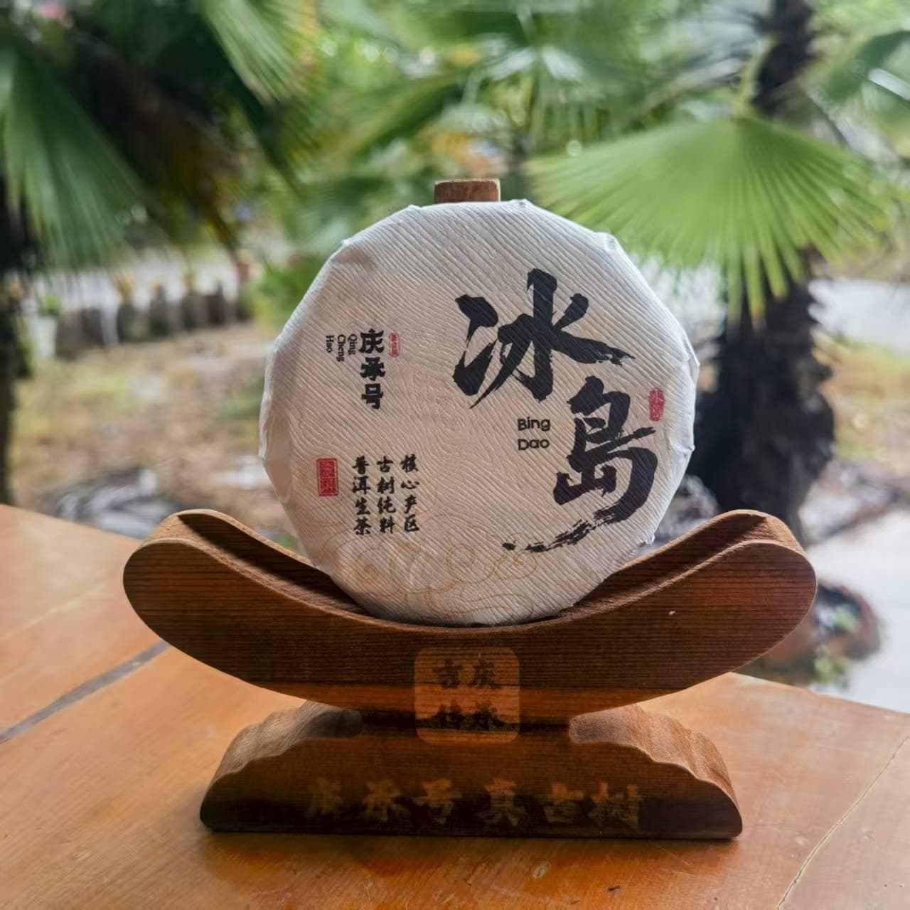 2023年冰岛头春头采古树纯料生茶饼茶100g