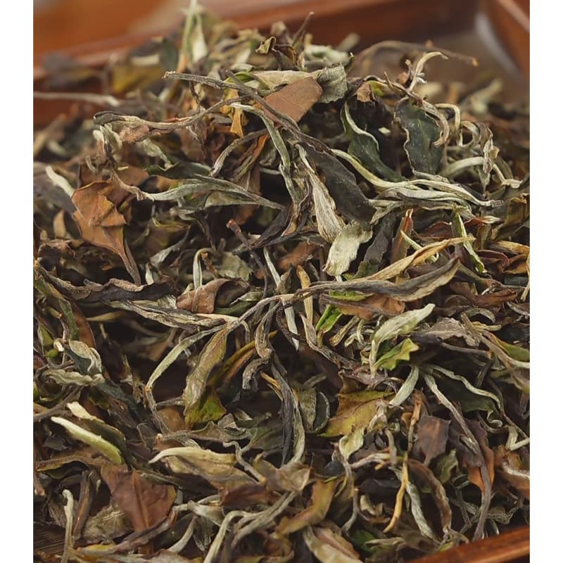 2023年 高杆古树 白茶散茶100g