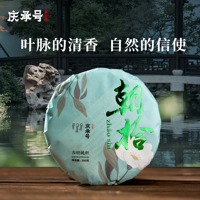 2024年朝拾古树纯料头春头采普洱生茶饼茶200g/饼-带茶样